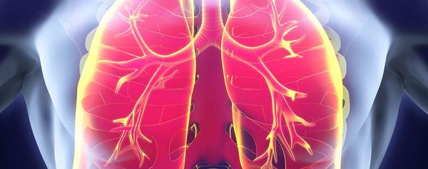 3-dimensionale Darstellung einer in roter Farbe hervorgehobenen menschlichen Lunge