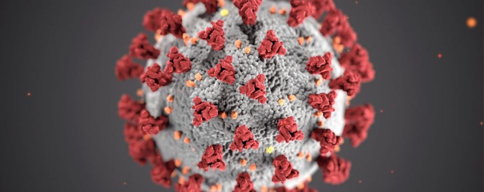 Covid-19 und Influenza – 6 Gründe, warum Coronavirus und Grippevirus nicht vergleichbar sind: Die Abbildung zeigt ein hellgrau-rot-orange eingefärbtes Coronavirus stark vergrößert vor einem weißen Hintergrund.