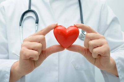 Ärztin hält ein Herz aus Plastik in den Händen